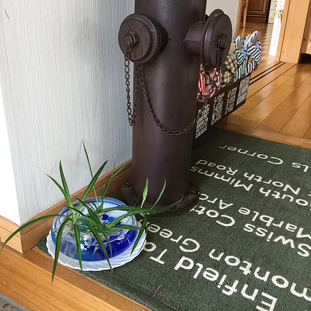 fusaさんの実例写真