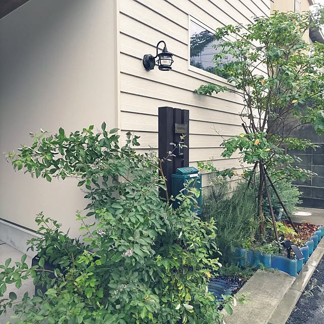 Maroさんの実例写真