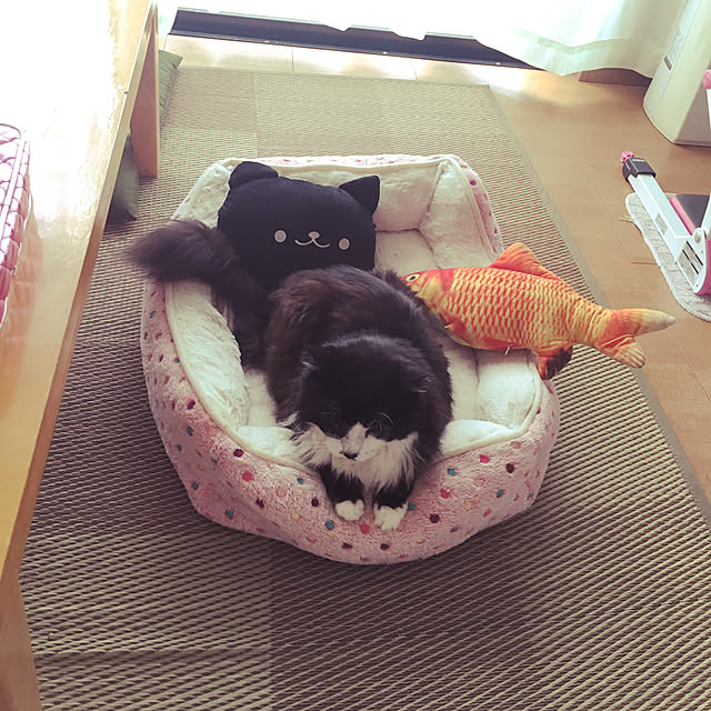 kanaさんの実例写真