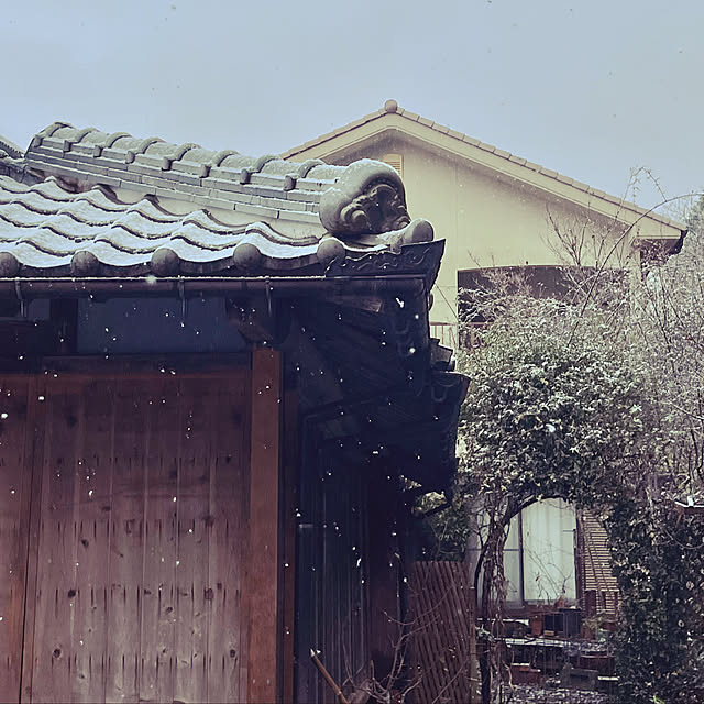 cotaさんの部屋