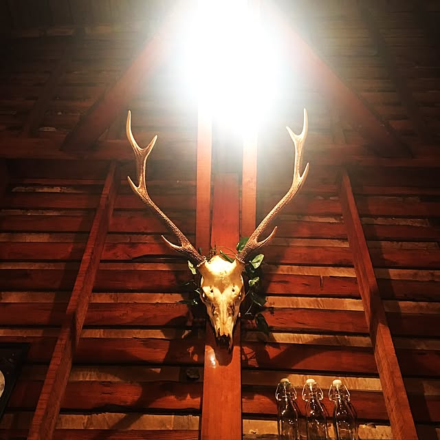 GarageDDさんの実例写真