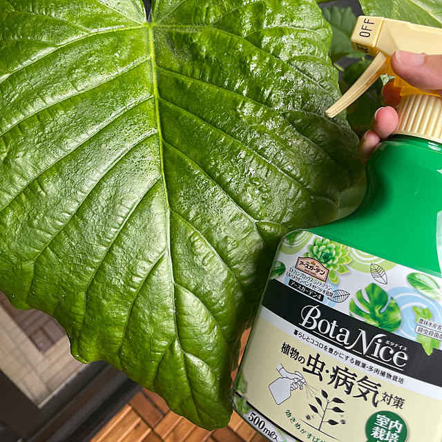 nashie7474さんの部屋