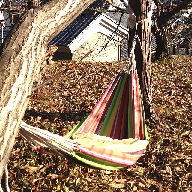 Kouichiさんの実例写真