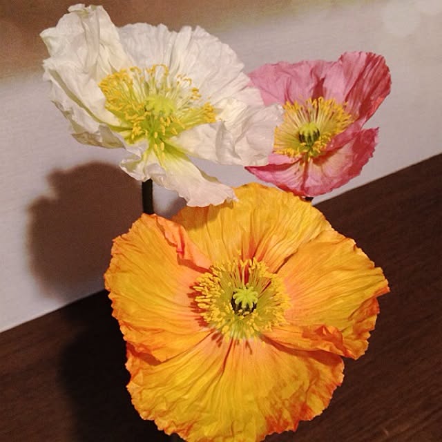 Yukiさんの実例写真