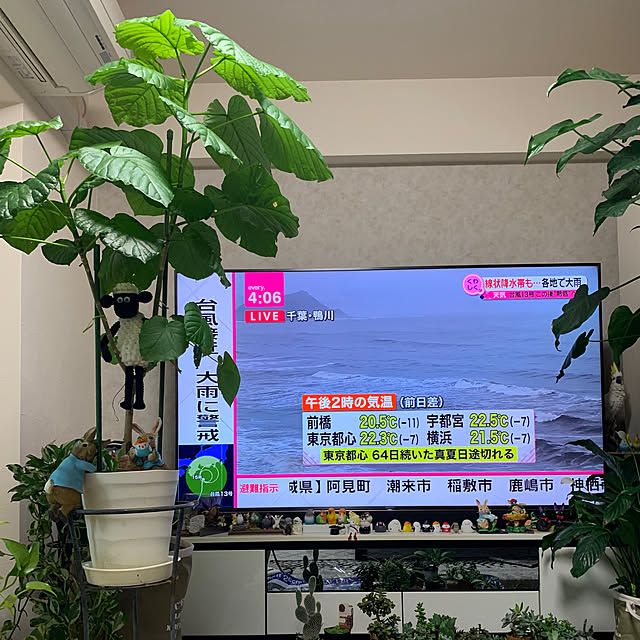 Aqettyさんの部屋