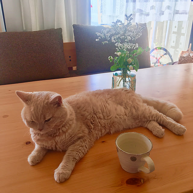 naokoさんの実例写真