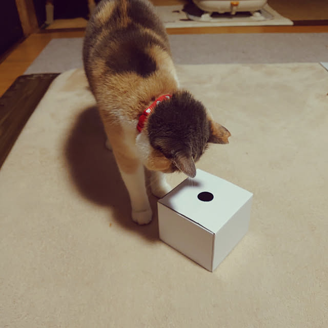 fukuさんの実例写真