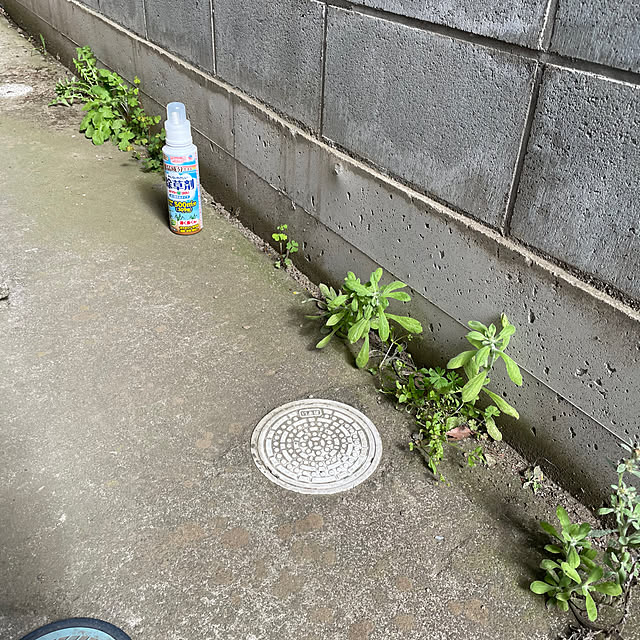 ronronさんの実例写真