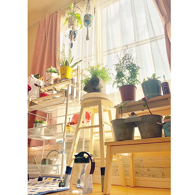 mo-nosukeさんの実例写真