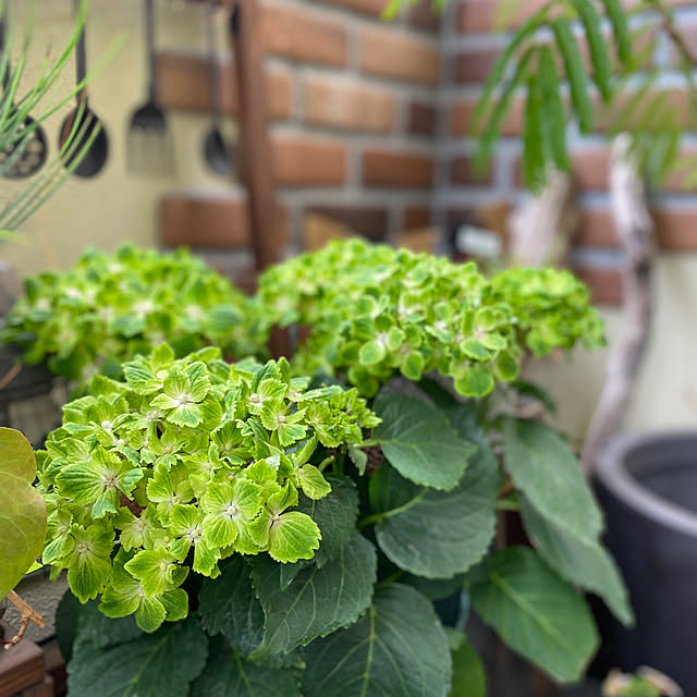 jos.wさんの部屋