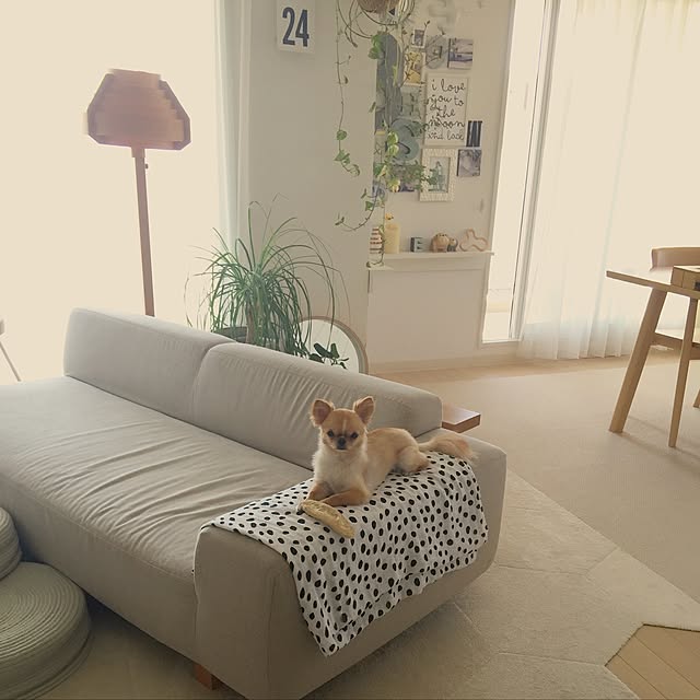 haruhinaさんの実例写真