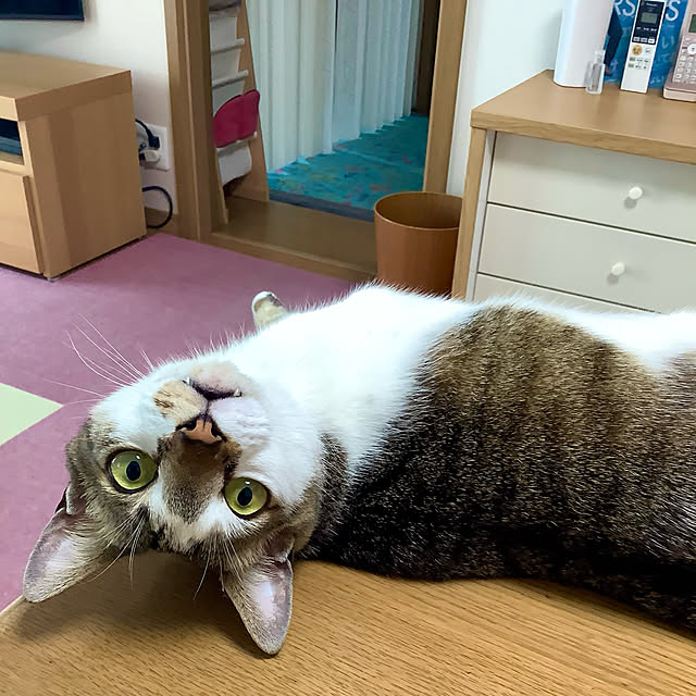 haruminさんの実例写真