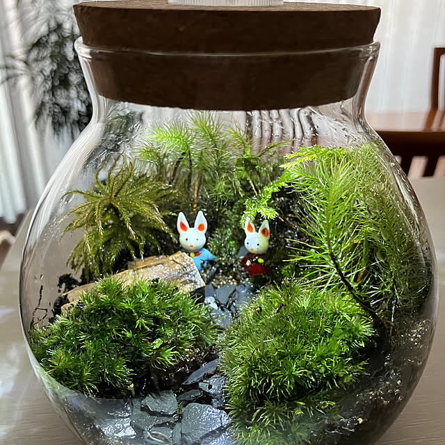 aquaさんの実例写真