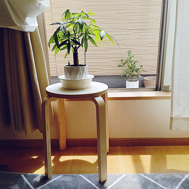 masumiさんの実例写真