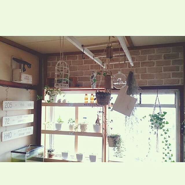 miporin0711さんの実例写真