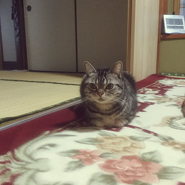 richanさんの実例写真