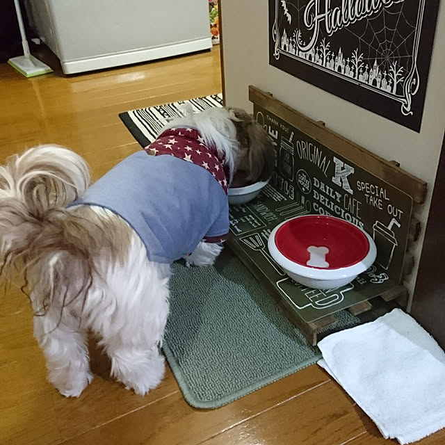 キッチン/セリア/セリアの雑貨/ダイソー/ダイソー マット...などのインテリア実例 - 2018-03-26 12:12:23