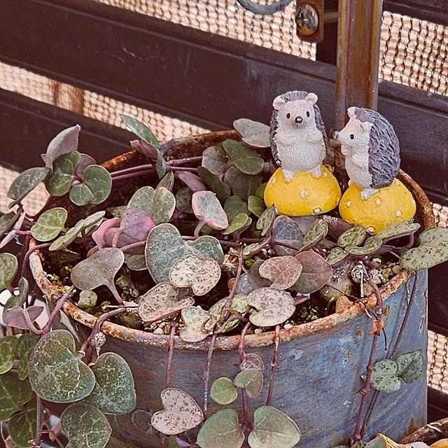 mocomocoさんの部屋