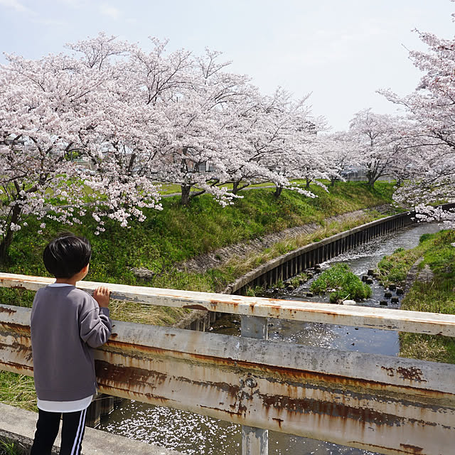 実例写真