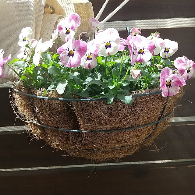 hanano087さんの実例写真