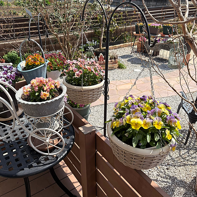 ronronさんの部屋