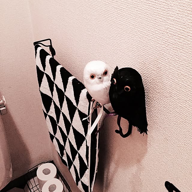 mimi6996さんの実例写真