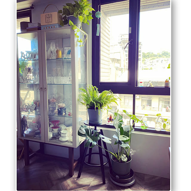 観葉植物/IKEA/部屋全体のインテリア実例 - 2020-08-21 15:08:18