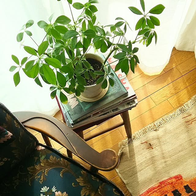 naoさんの実例写真