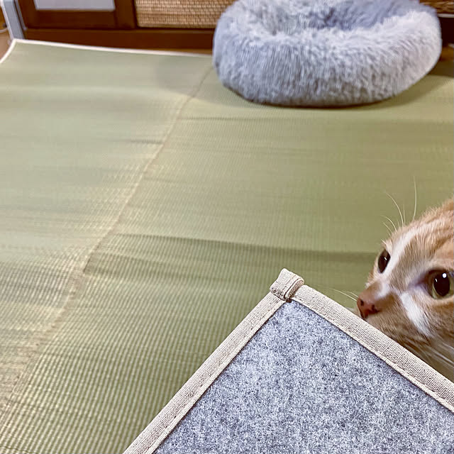 cocomaroさんの実例写真
