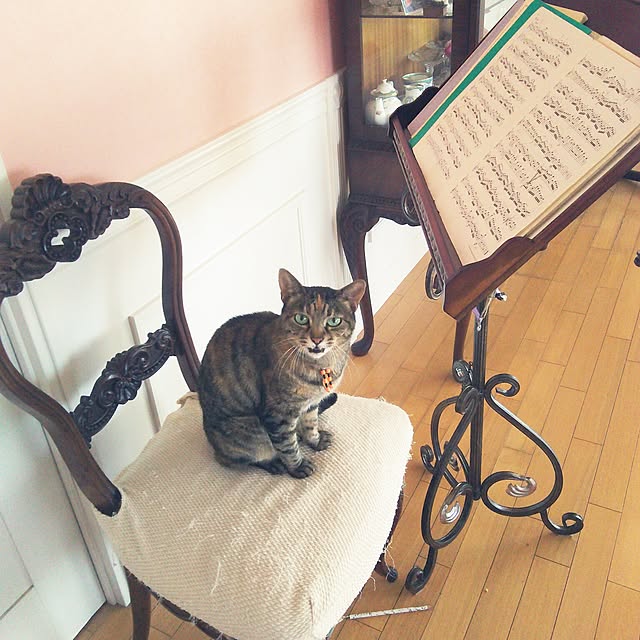 sakuraさんの実例写真