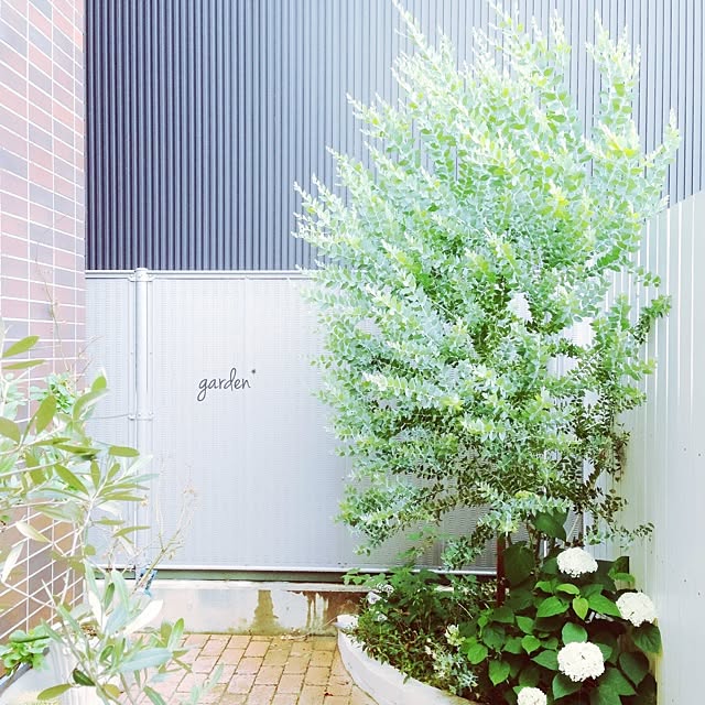 pocoさんの実例写真