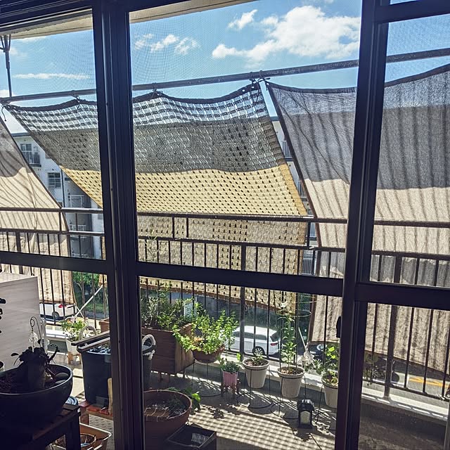 mi-saさんの部屋