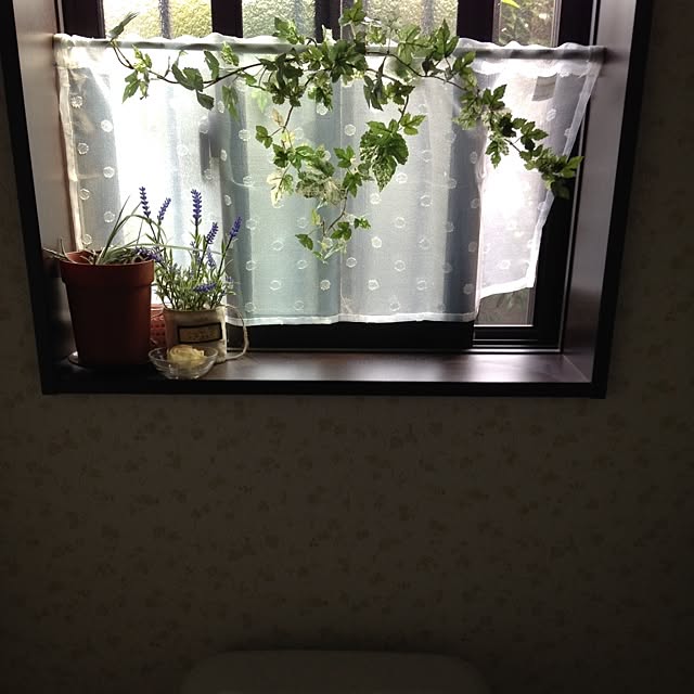 1182さんの実例写真