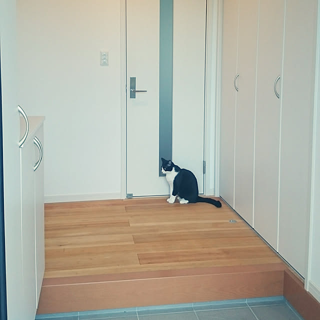 ichisanさんの実例写真
