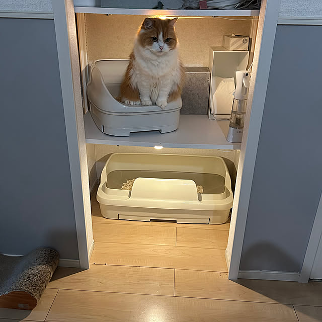 H.Tさんの部屋