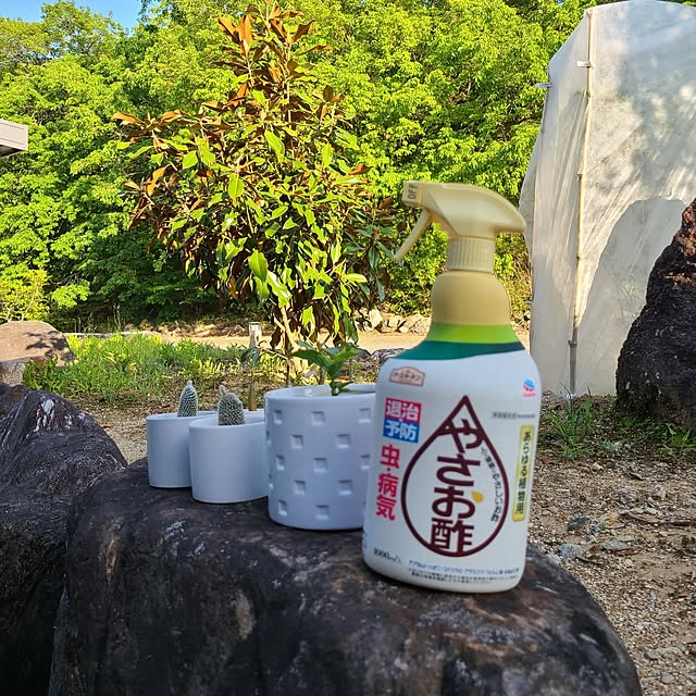 Rubiconさんの部屋