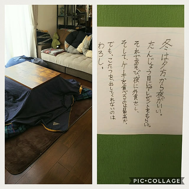 batamarucoのニトリ-ビーズソファカバー 大(ジェノア2) の家具・インテリア写真