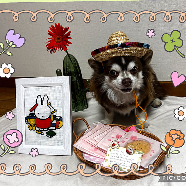 chIoeさんの実例写真