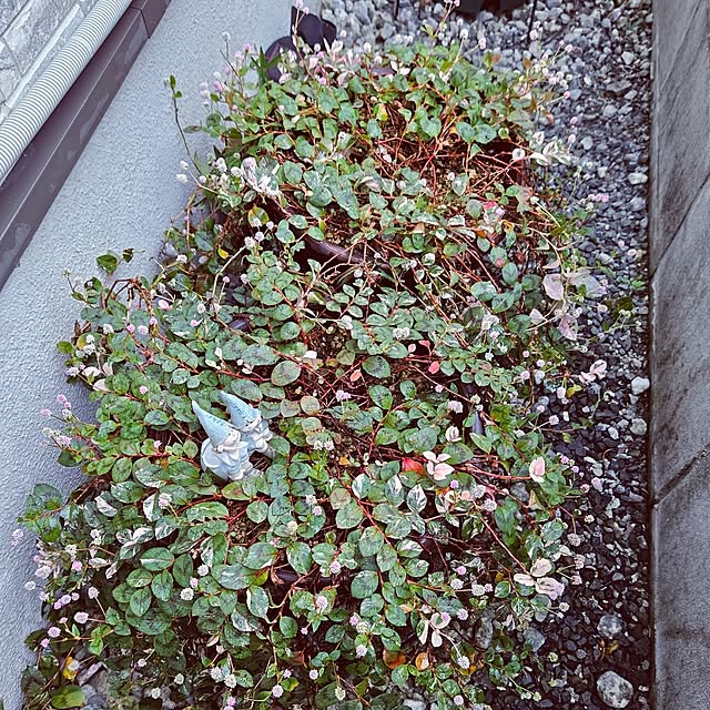 mocomocoさんの部屋