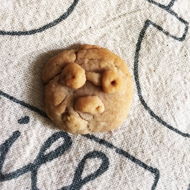 satochanさんの実例写真