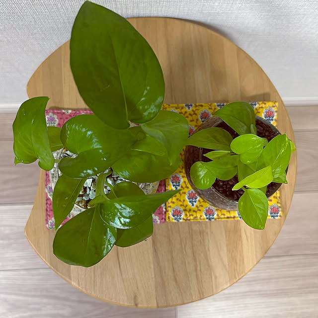 yoyoyoさんの部屋
