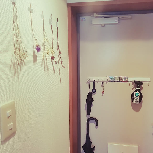 Suuさんの実例写真