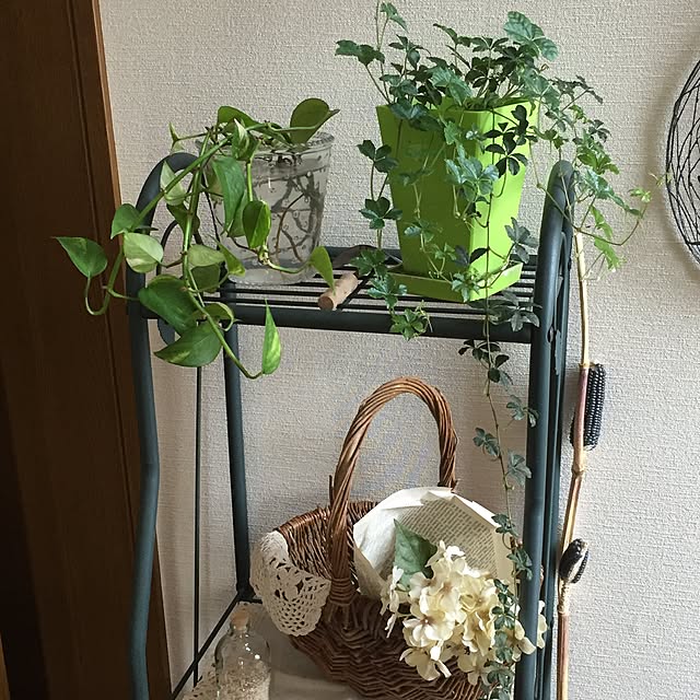 picoさんの実例写真