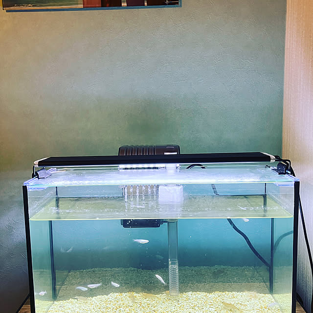 aokiさんの実例写真