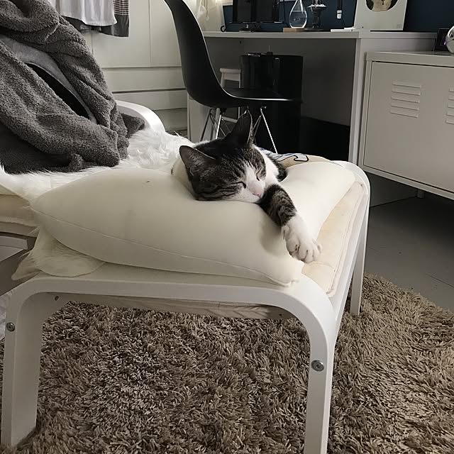 Shihoさんの実例写真