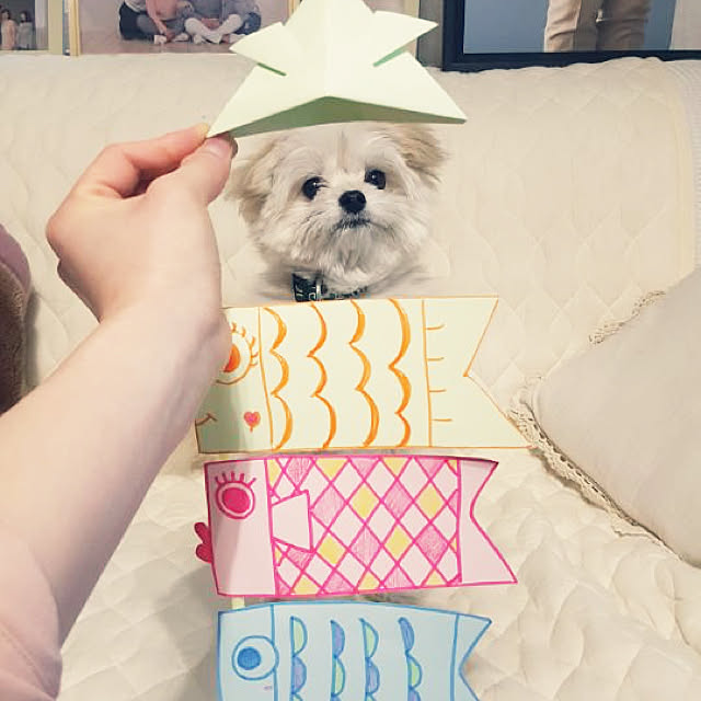 Kekoponさんの実例写真