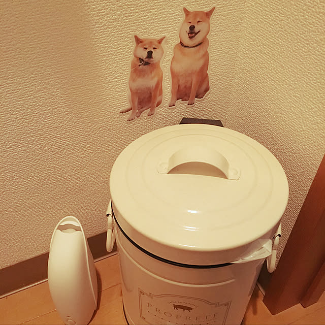 mikamiさんの実例写真