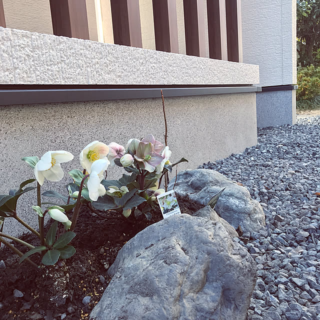 keiさんの実例写真