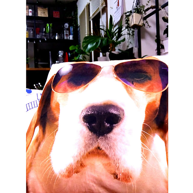 annさんの実例写真