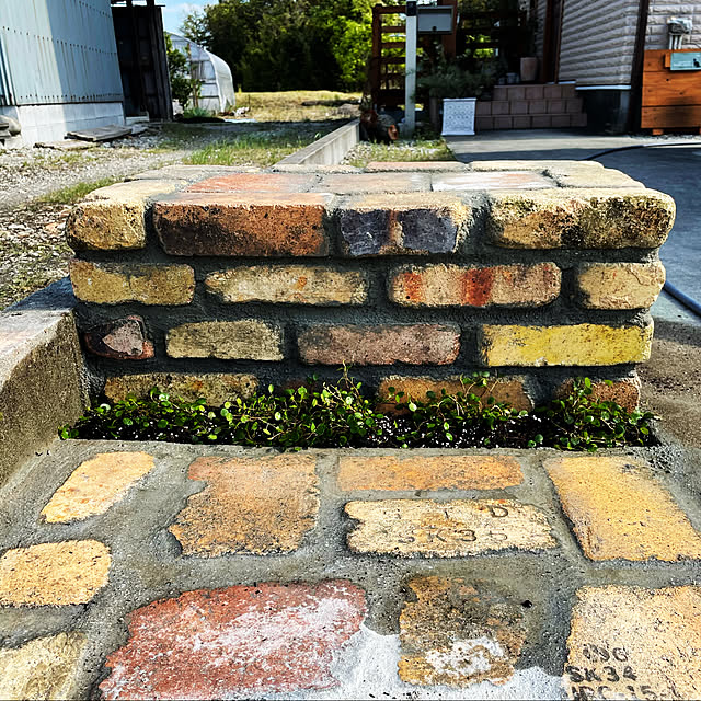 nikukyuuさんの実例写真